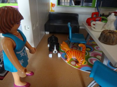 Bild 012a.jpg