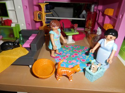 Bild 26a.jpg