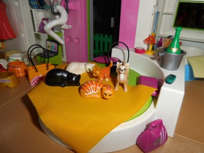 Bild 28a.jpg