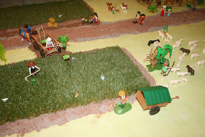 IMG_1445.jpg