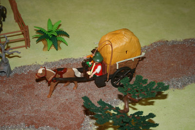 IMG_1443.jpg