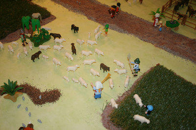 IMG_1442.jpg