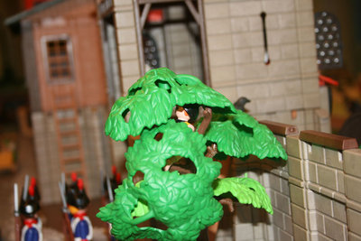 IMG_1465.jpg
