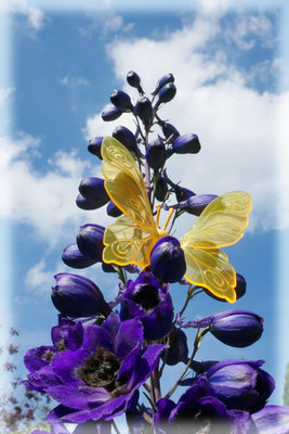 schmetterlingauflila.jpg