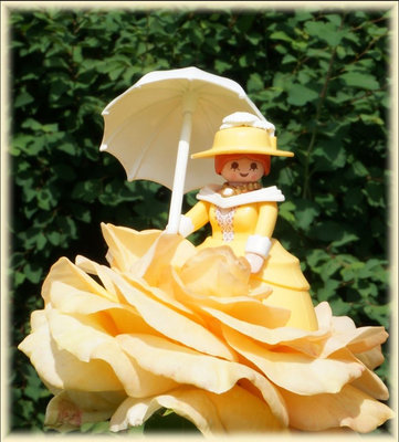 gelbeRose2.JPG