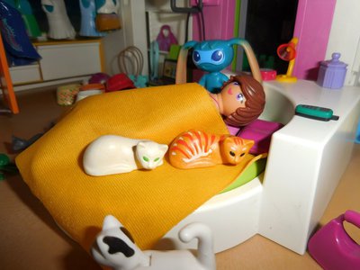 Bild 067a.jpg