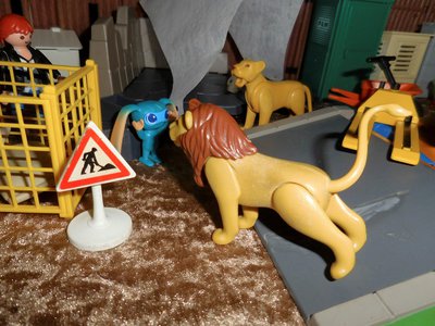 Bild 078a.jpg