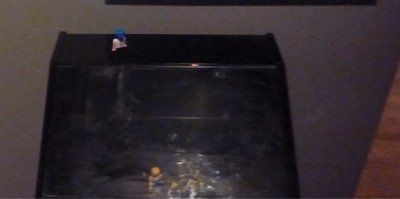 image.jpg (74.59 KiB) 1074 mal betrachtet image.jpg