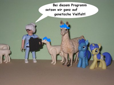 Wild-4.JPG
