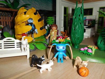 Bild 015a.jpg