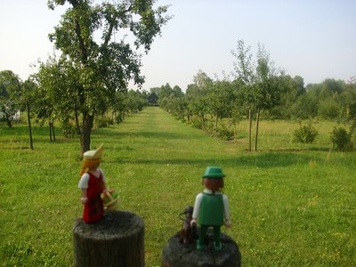 Felix Tag5 (4).JPG