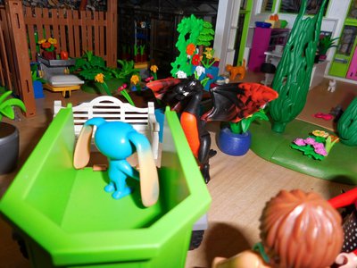 Bild 011a.jpg
