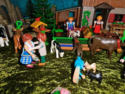 Bild 035a.jpg