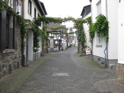 IMG_4828.JPG