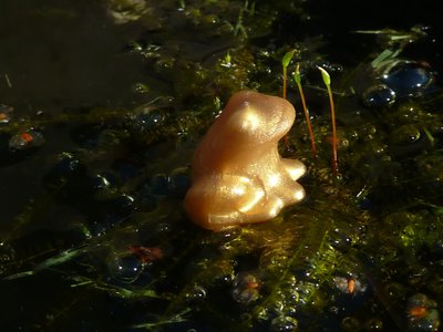 P1250008.JPG