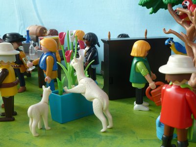 P1250109.JPG