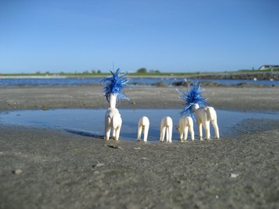 IMG_5868.JPG
