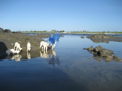 IMG_5865.JPG
