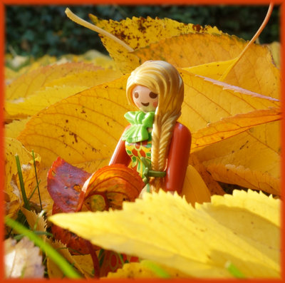 Herbstbild.jpg