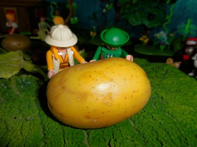 Bild 068.jpg