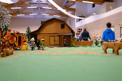 DSCF3086.JPG