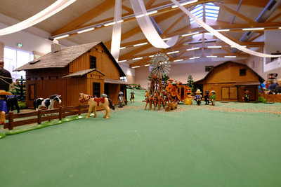 DSCF3088.JPG