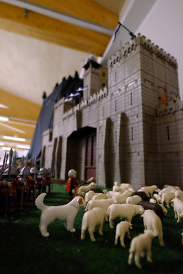 DSCF3313.JPG