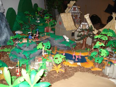 136 Tortuga .jpg
