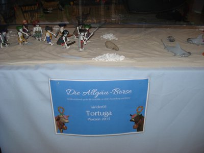 131 Tortuga .jpg
