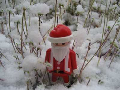 IMG_6548k.jpg
