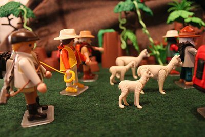 IMG_8234.jpg
