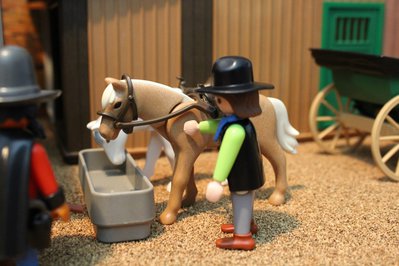 xPferd003.jpg