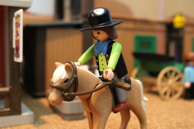 xPferd009.jpg
