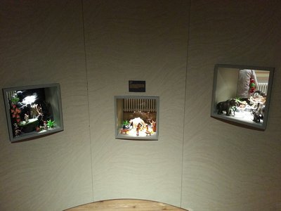 20151206_103128_resized.jpg