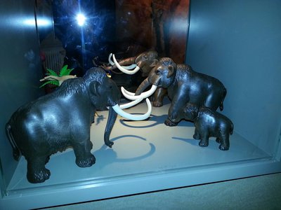 20151206_103203_resized.jpg