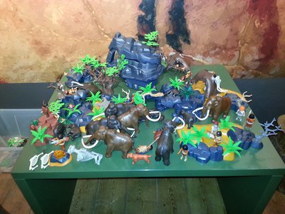 20151206_103217_resized_1.jpg