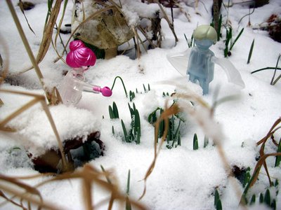 Schneeglöckchen (2).JPG