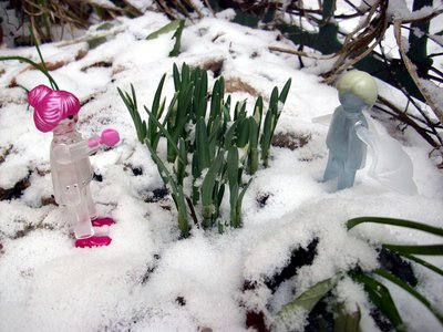 Schneeglöckchen (1).JPG