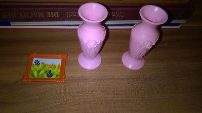 WP_20160120_23_53_20_Pro.jpg