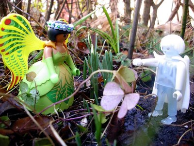 Frühling (1).JPG