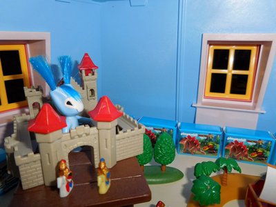 145.jpg