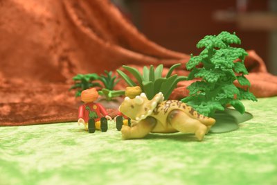 DSC_0362.JPG