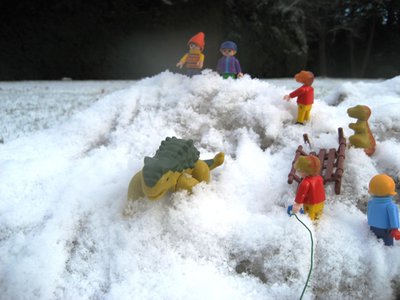 IMG_7154.JPG