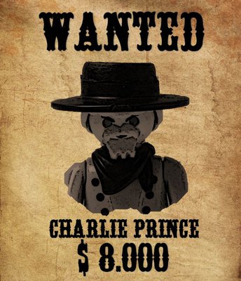 Charlie Prince Steckbrief_800x600.jpg