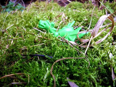 Moosdrache (1).JPG