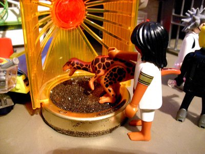 Bild (13).JPG