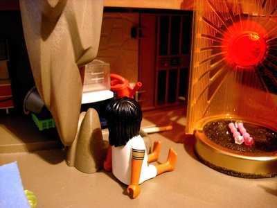 Bild (29).JPG