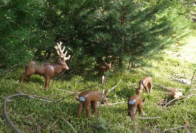 Hirsche Rehe.JPG