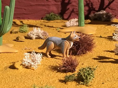IMG_0837.JPG