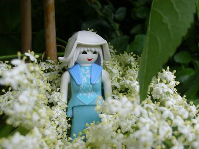 Frau Holle (2).JPG